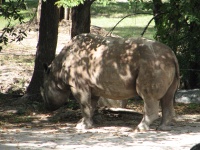 20100206 485.JPG